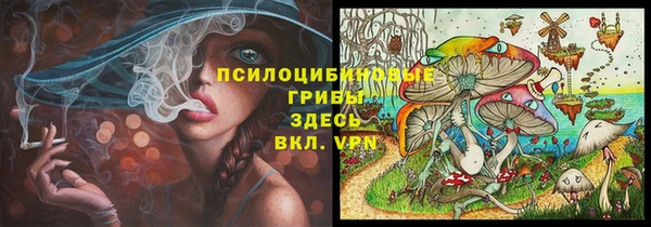 дживик Алзамай