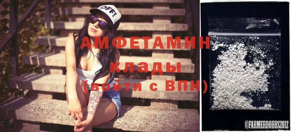 индика Семилуки