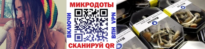 Галлюциногенные грибы MAGIC MUSHROOMS  Гдов 